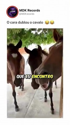 Ativei as notificações escreve no canal #funk