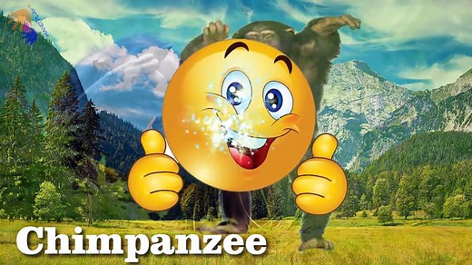 Learn Wild Animals Names and Sounds | Amazing African Animals with Zootopia Cartoon for Children.