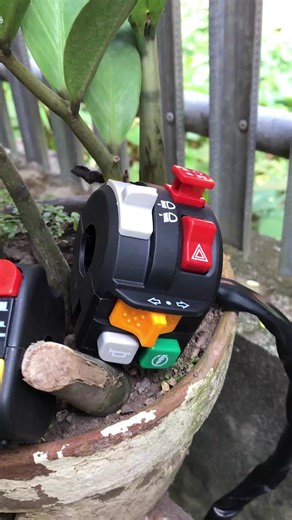 Understanding Honeywell and Domino Switch Functionality