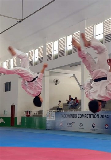 Dolphins of Infinity - Taekwondo Performance Highlights