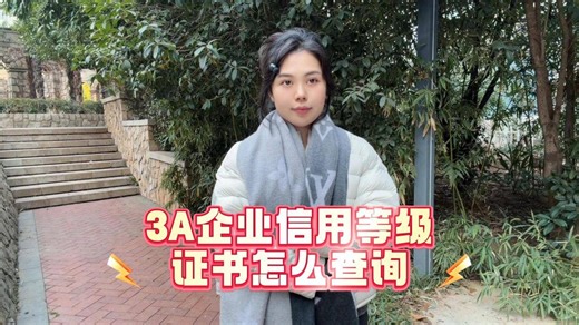 3A企业信用等级证书怎么查询？一招教你搞定！
