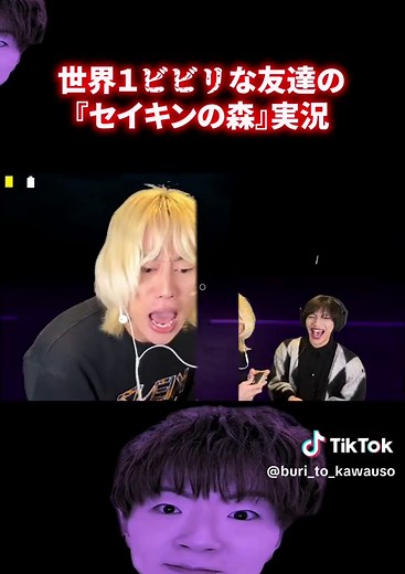セイキンとホラーゲーム「ブリとカワウソ」実況