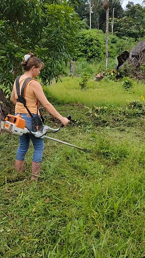 606K views · 15K reactions | Weed Eater vs. Jungle Overgrowth—We WIN!  #JungleLife #WeedWhacking #OffGridLiving | Crazy jungle adventures | Facebook