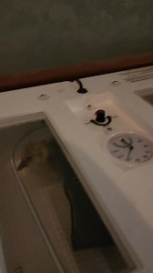 🤪🪺 | Darren Knight