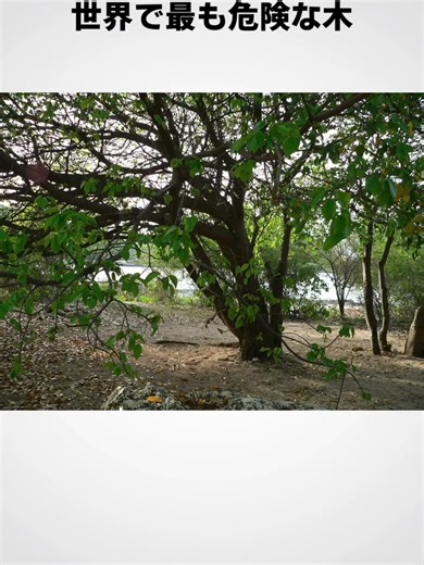 original sound - cassandrawilson1970を使っているcassandrawilson1970 (@cassandrawilson1970)の動画