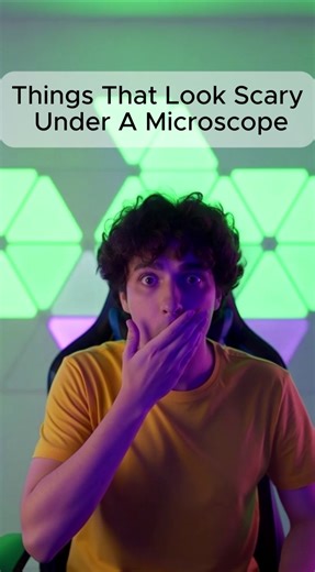 Things that look scary under a microscope #viral #real #scary #shorts #foryou