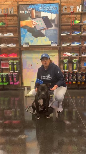 Save The Animals Foundation-Cincinnati on Reels