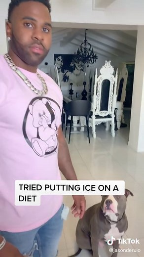 Tried putting #icederulo on a diet | ice