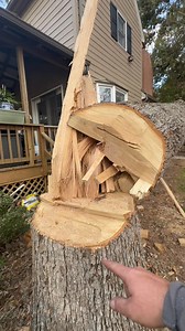 Tree Service Drops Tree On House | Brittain's Tree and Crane Service