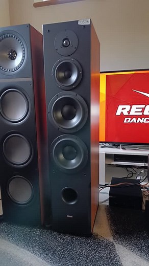 #dynaudio audience 82 | Nicoastyle Hifi Man