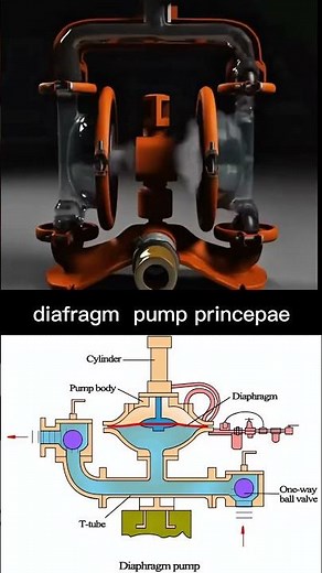 Diaphragm Pump: Working Animation & Fluid Flow#shortsfeed