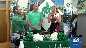 The history of UAM's boll weevil