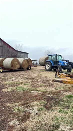 Moving hay for the animals #farmer #farm #farming #cows #goats #cow #goat #chicken #duck #farmlife