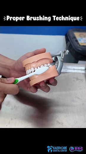 Proper Tooth Brushing