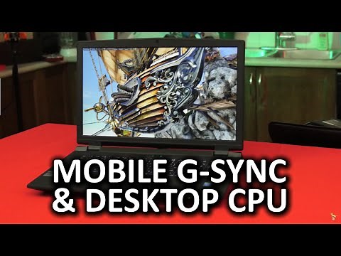 Sager NP9773 - True Desktop Replacement G-Sync Laptop