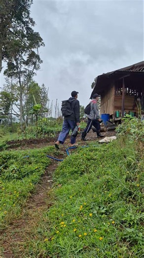 When serenity is found on a remote hill #nature