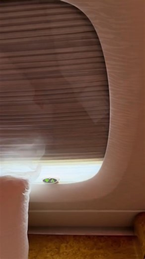 Learn More About First Class Flights | Blogging Life | Facebook