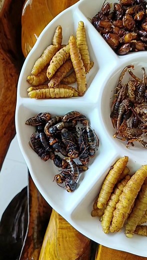 Exploring Edible Insects: Beetles and Larvae Plate