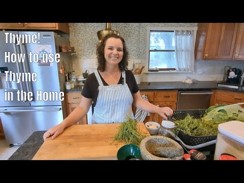 Thyme to Thrive! How to Grow Thyme, How to Harvest Thyme, and How to Preserve Thyme!