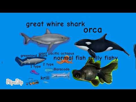 Size comparison types and space editing with Bloop