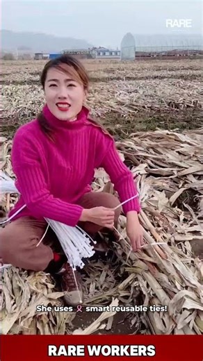 FAST WORKER tying corn stalks 🌽✨ #shorts