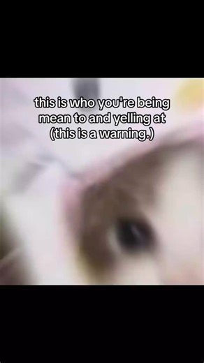 SS TV 1 on Instagram: "😸 . . #funny #memes #foryou #fyp #fypシ #explorepage #trending #relatable #laughoutloud #memevideo #instamemes #dailyfunny #funpost #viralreel #sstv1"