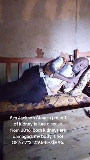 Understanding Kidney Failure: Signs and Solutions