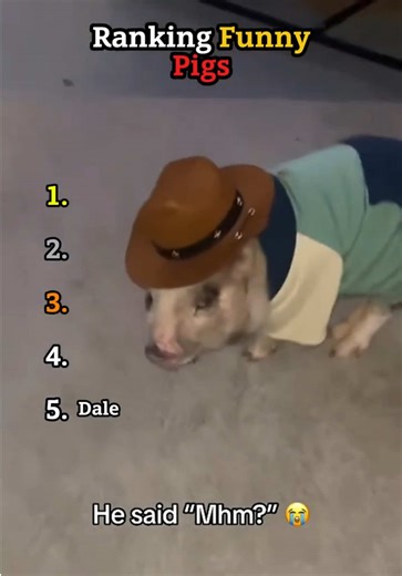 Ranking Funny Pigs 🐷🤣😭 #funnyanimals#cuteanimals#cutepig#viral#fyp | Dale The Pig