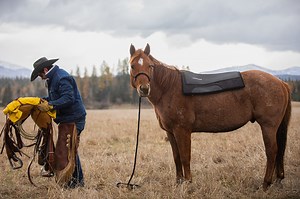 The way ThinLine material absorbs shock and reduces pressure points is what makes your horse happy and free in the back. 👉🏻 What makes ThinLine unique is its technology. ThinLine is an open-cell foam that moves shock, weight, and heat laterally along the pad, boot, or girth. #ThinLineGlobal #WesternSaddlePad #RideInComfort #thinlinetechnology #EquestrianGear #RiderComfort #RideHappier | ThinLine Global