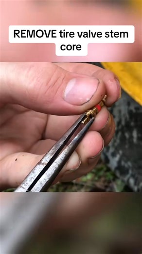 REMOVE tire valve stem core #automotive #mechanic #carservice #carrepair #reels #reelsfb #brakeRepair #fypシ゚ #fypシ゚viral #mechaniclife #autorepair #carcare #mechanicproblems #automotiveexpert #fixitright #garagelife #engineexpert #cartroubleshooting | Automotiveme chanical