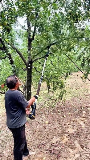 Telescopic Fruit Shaker: One Shake and the Tree Rains Fruits!