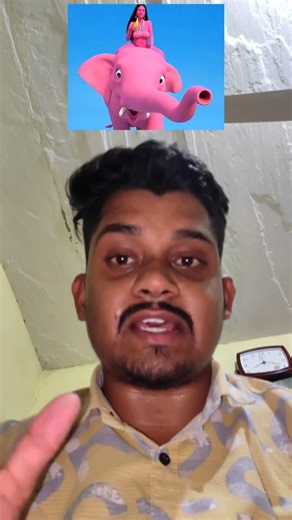 National outrage: The pink elephant story