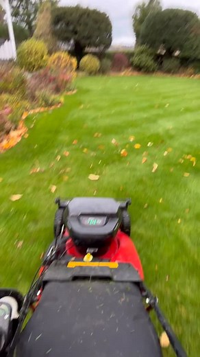 Autumn lawn mowing 🌱 ✂️ @toro_unitedkingdom e-prostripe 60v 🔋 ⚡️ #mowing #mower #battery #lawns #lawncare #lawnporn #autumn #single #stripes #garden #gardensofinstagram #uk #november | Heaven on Turf