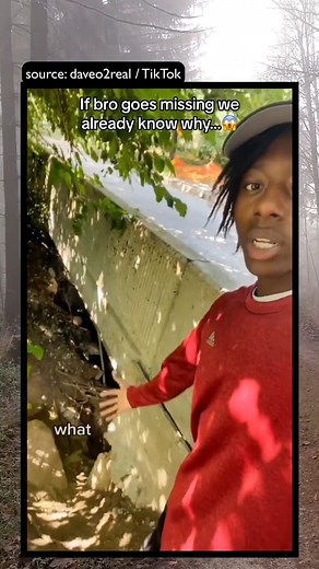 Posted by Dave-O on TikTok , did you see that in the background ? | Impossible Channel