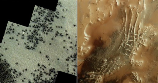 Creepy images of 'spiders' crawling all over the surface of Mars have left people stunned