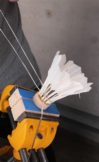 Dance Like a Leaf, Hit Like a Champion #sports | Health is Wealth