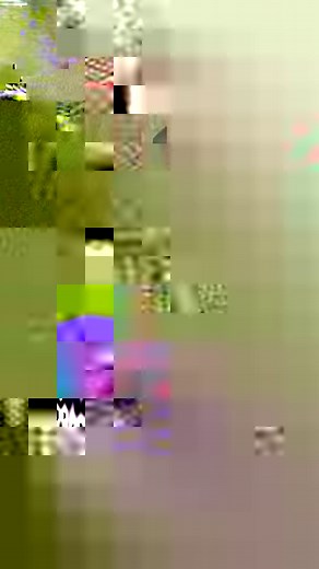 2.8M views · 10K reactions | First mornings..#easternredbats #lasiurusborealis #austinbats #foliagebats #bekindtobats | Austin Bat Refuge | Facebook