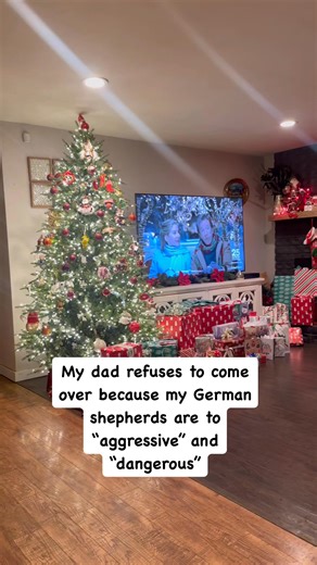 22M views · 120K reactions | Grandma vs German shepherds on Christmas #germanshepherd #germanshepherdsofinstagram #germanshepherdpuppy #gsd #gsdpuppy #reels | Zeus and Luna | Facebook
