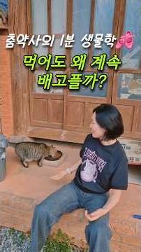 약사가 알려주는 내 몸속 '천연 식욕억제제' 깨우는 법 💊💡#단쇄지방산 #낙산균 #shorts