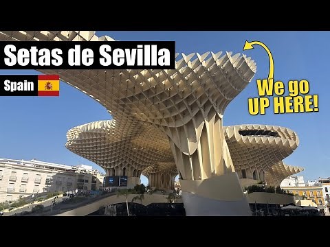 Setas de Sevilla Rooftop Walkway Tour | Tips for Visiting Metropol Parasol Seville 🇪🇸