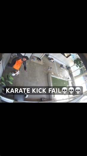 KARATE KICK FAIL W/ DOGS #comedy #funny