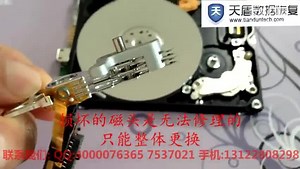 上海南汇区如何恢复西部数据移动硬盘丢失数据-天盾数据恢复中心