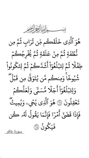 سورة غافر بصوت القارئ الشيخ صلاح بوخاطر #القرآن_الكريم #راحة_نفسية #اطمئن #رمضان #اكسبلور