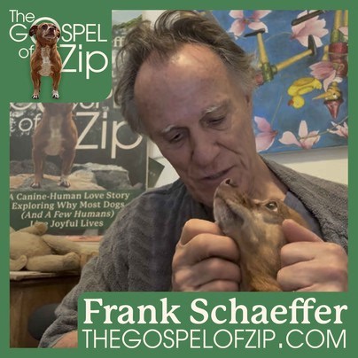 5.9K views · 120 reactions | He kept his paw on me the whole time....