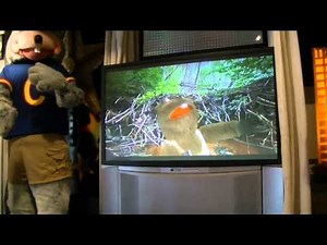 Chuck E Cheese Northridge April 2014 Segment 4