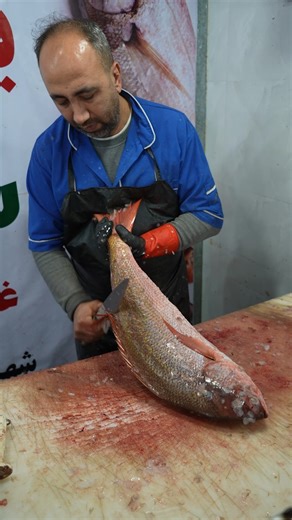 Fillet Any Fish – Beginner Friendly Method