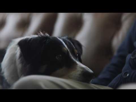 Freedom Furniture "Love coming home" sofas commercial