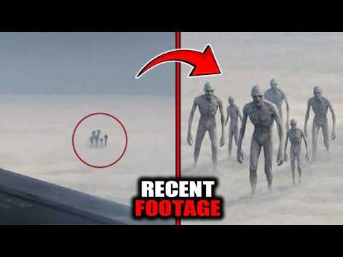 What The Camera Captured Will Leave You Stunned!