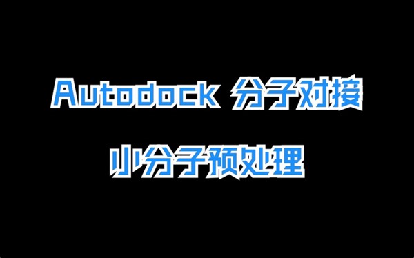 分子对接Part 5-Autodock 分子对接-小分子预处理