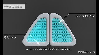 京都工芸繊維大学 | バイオベースマテリアル学専攻　岡久陽子